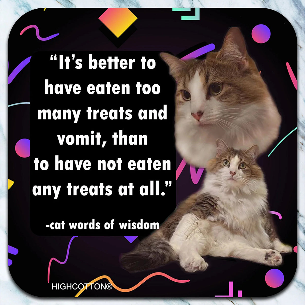 Cat Words of Wisdom Coaster - AA