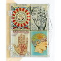 Fortune Teller Wheel, Hand, Brain, Skull - 4 Magnet Set - DD