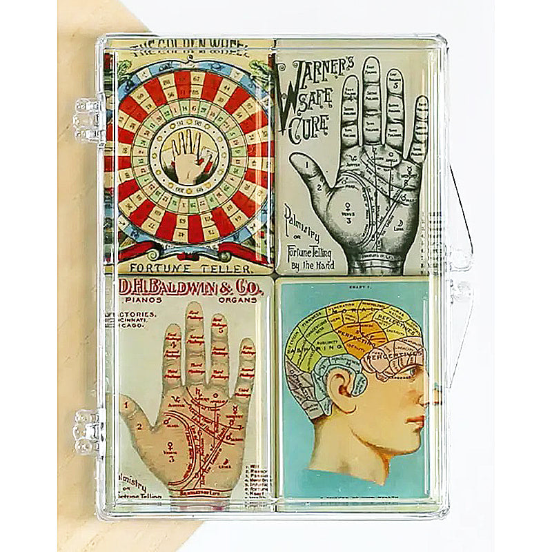Fortune Teller Wheel, Hand, Brain, Skull - 4 Magnet Set - DD