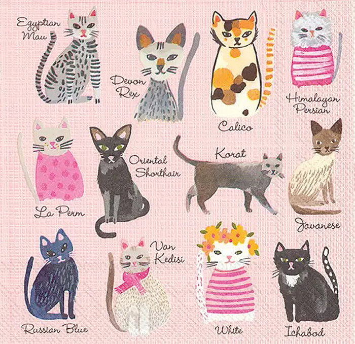 Cool Cats - Cocktail Napkins