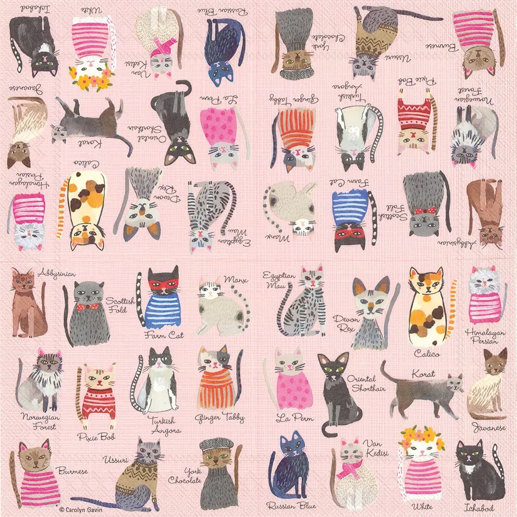 Cool Cats - Cocktail Napkins