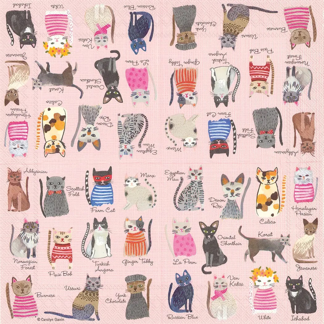 Cool Cats - Cocktail Napkins