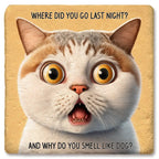 Where did you go Limestone Coaster by Tipsy