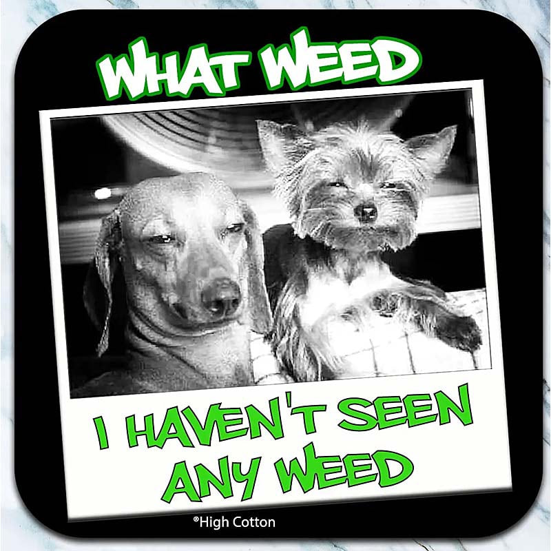 What Weed - Coaster - AA