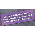 if the earth was flat  - bumper magnet - AA