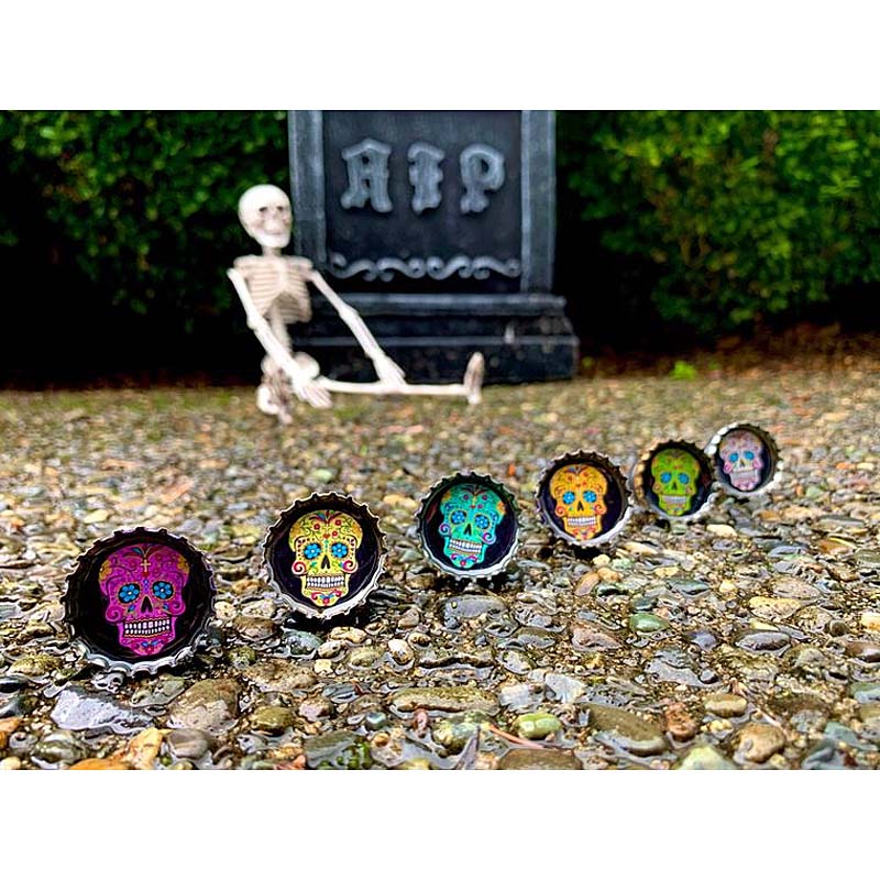 Calaveras - 6 unique bottle cap magnet set in tin