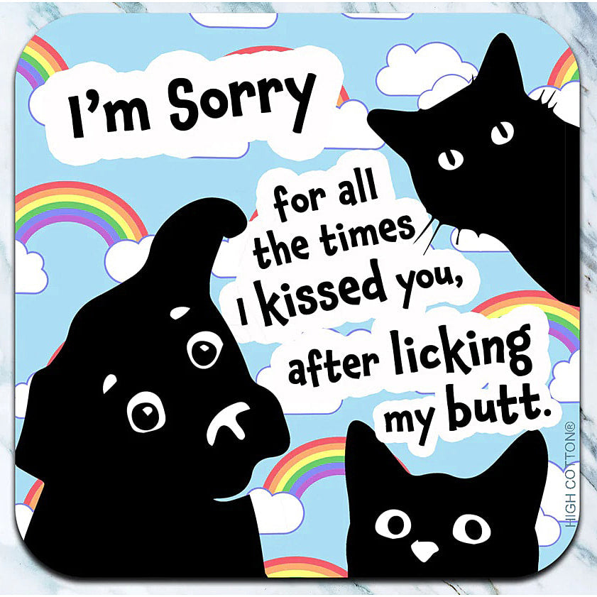 Sorry for all the times I kissed you - Coaster - AA