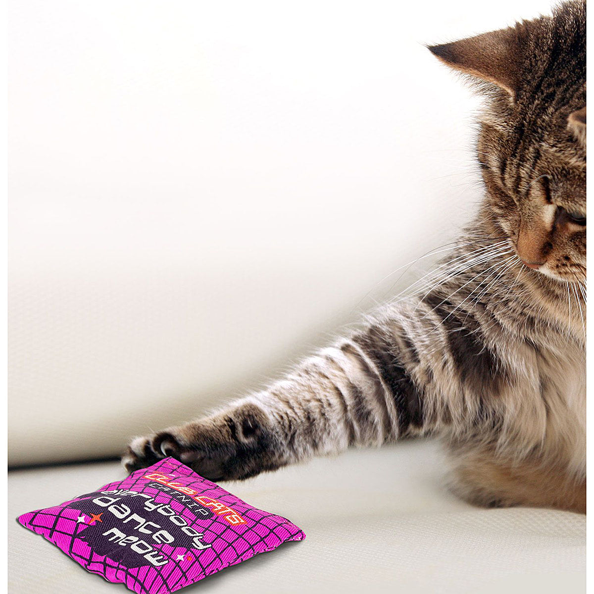 Everybody Dance Organic Catnip by Blue Q
