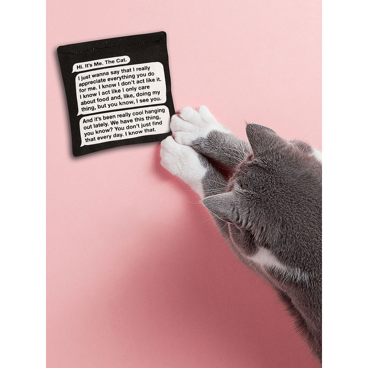 Rambling Text Organic Catnip by Blue Q