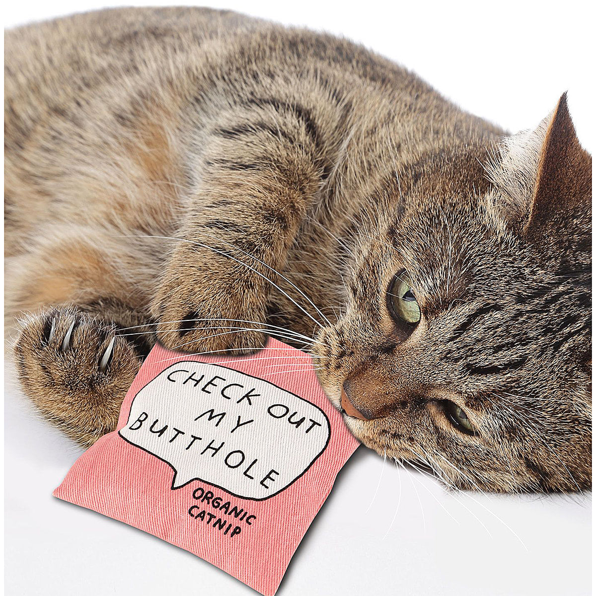 Check Out My Butthole Organic Catnip by Blue Q