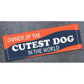 Cutest Dog - bumper magnet - AA