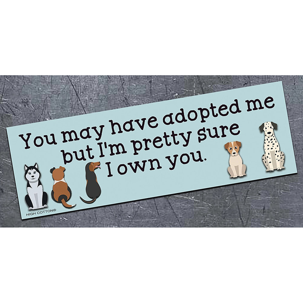 Pretty Sure I Own You - bumper magnet - AA