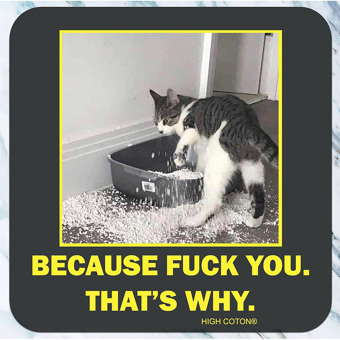 Because fuck you.  - Coaster - AA