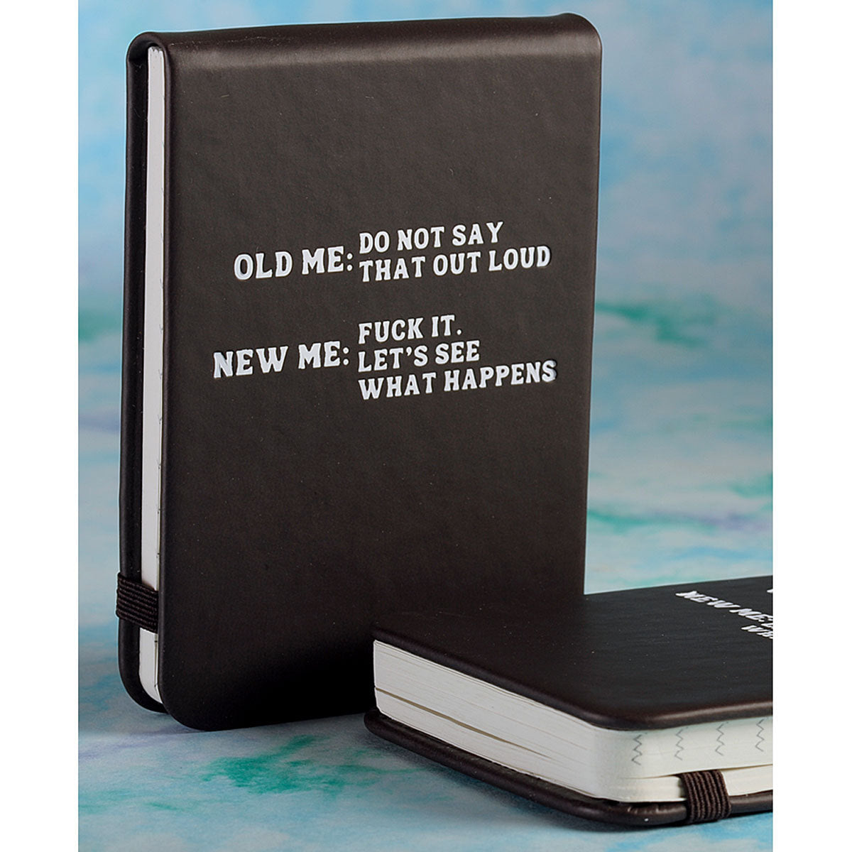 Old Me vs. New Me Pocket Journal- GG
