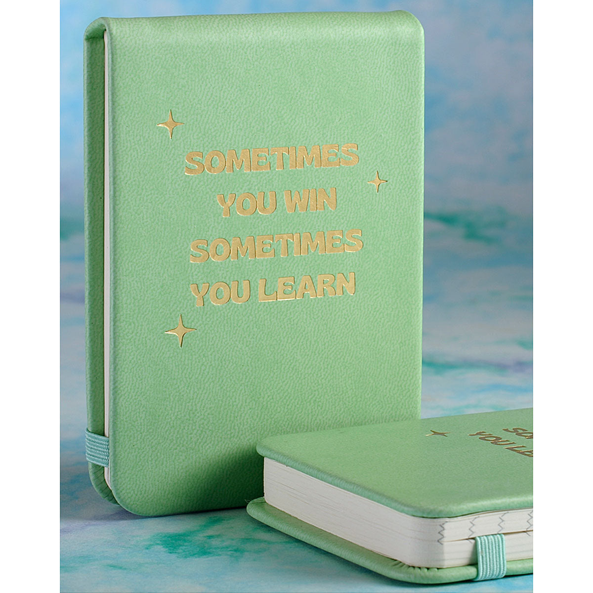 SOMETIMES YOU WIN Pocket Journal- GG