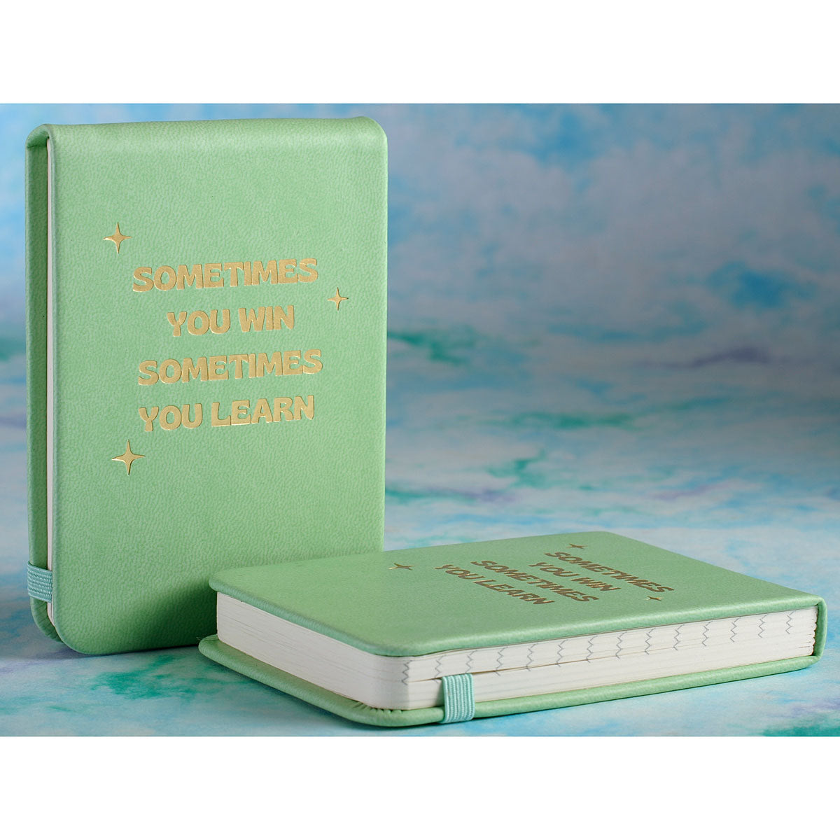 SOMETIMES YOU WIN Pocket Journal- GG