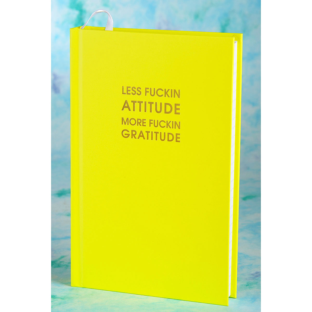 Attitude/Gratitude Journal- HH