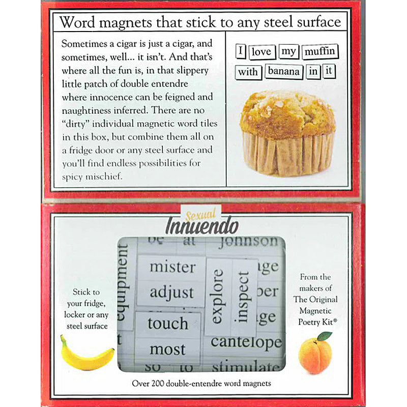 Sexual Innuendo themed Magnetic Poetry kit