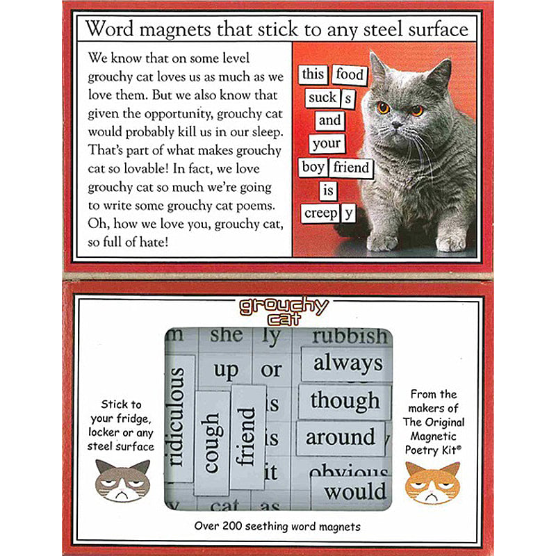Grouchy Cat Magnetic Poetry kit