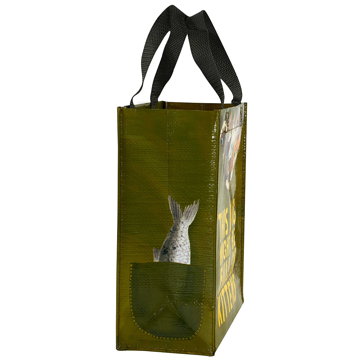 Bag Full of Kittens 10x8.5x4.5 Handy Tote by Blue Q