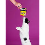 Call the Exorcist Organic Catnip by Blue Q