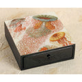 SALE:  Not quite perfect - Ernst Haeckel Jellyfish Boutique Wood Box - DD