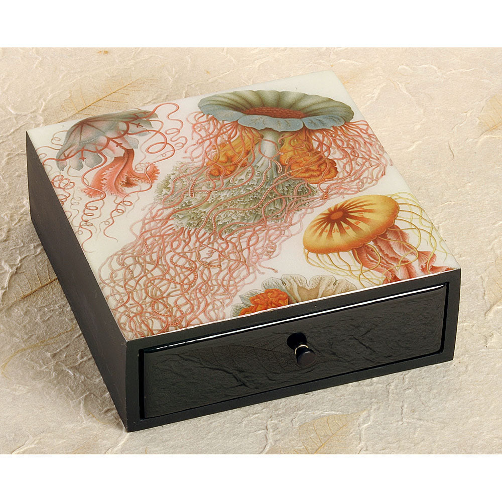 SALE:  Not quite perfect - Ernst Haeckel Jellyfish Boutique Wood Box - DD