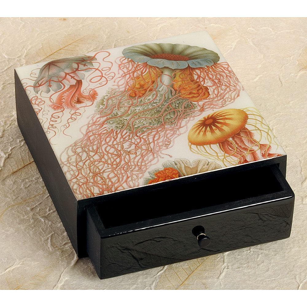 SALE:  Not quite perfect - Ernst Haeckel Jellyfish Boutique Wood Box - DD