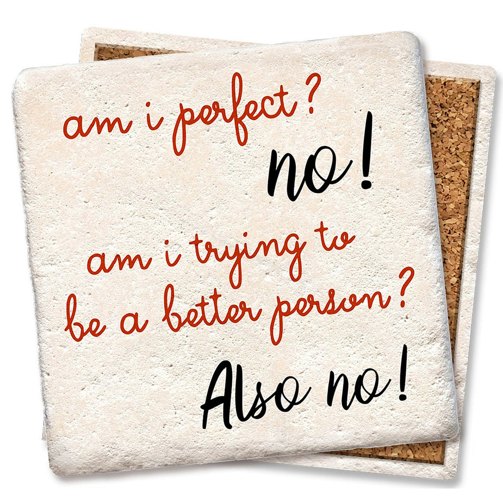 Am I perfect? Limestone Coaster by Tipsy