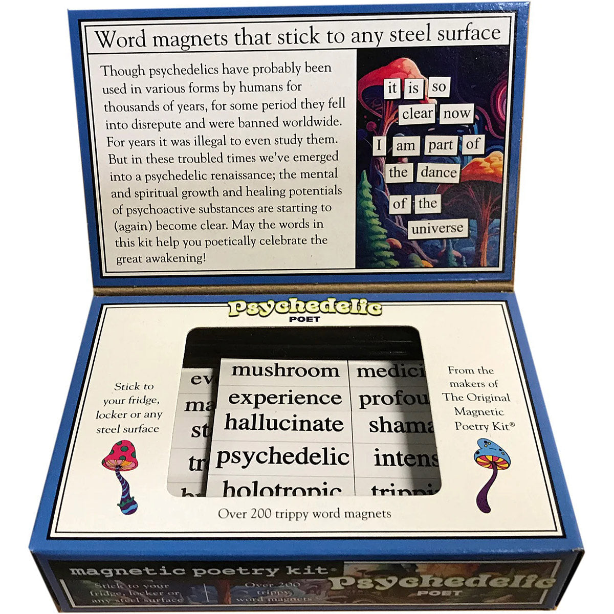 Psychedelic Magnetic Poetry kit