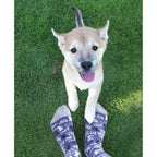 Women's Crew Socks -  DOGS - Blue Q