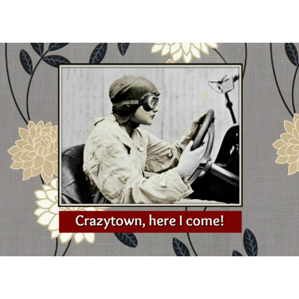 Crazytown - here I come Magnet by Umlaut Brooklyn