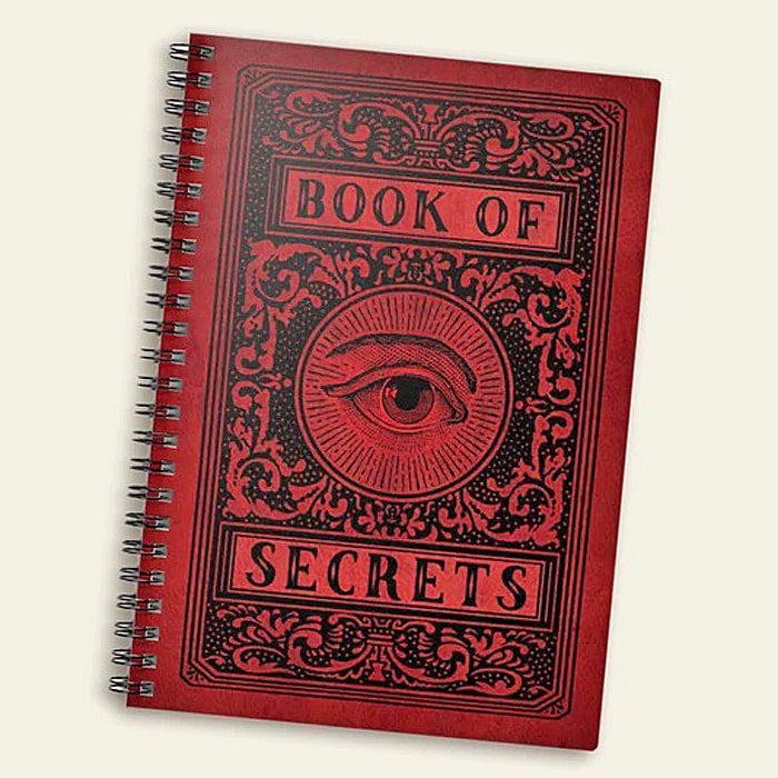 The Book of Secrets lined spiral notebook.
