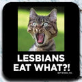 Lesbians eat what?!  - Coaster - AA