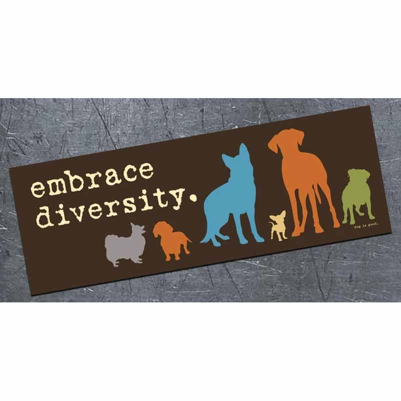 Embrace Diversity - Bumper Magnet - AA