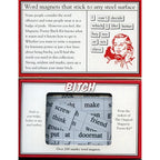 Bitch themed Magnetic Poetry kit